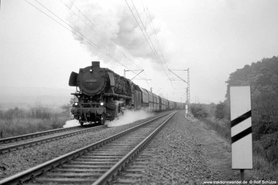 Bild 50